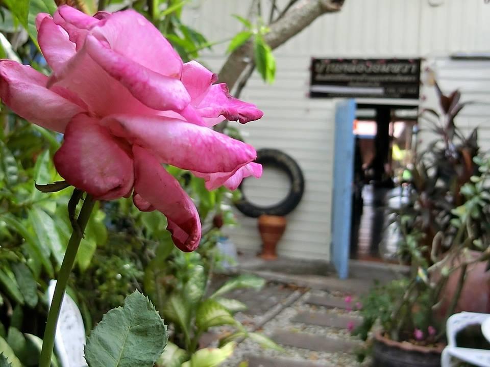 Baanklong Amphawa Homestay Exterior foto